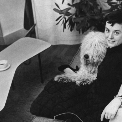 florence-knoll